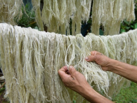 Fibras textiles naturales vegetales